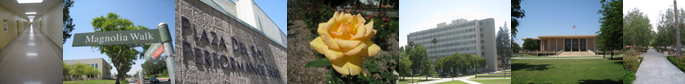 Picbar Photos Page